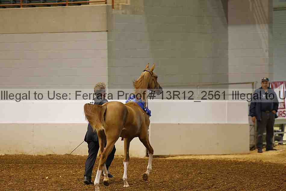 Proof 13r12_2561