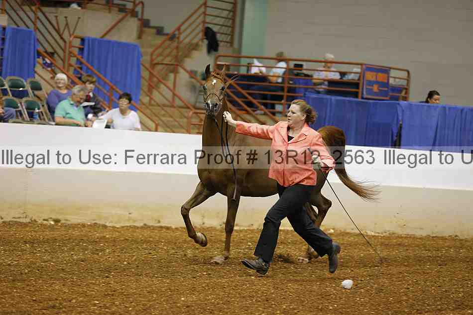 Proof 13r12_2563