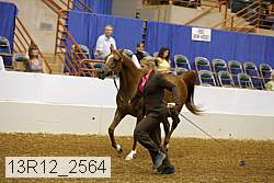 13r12_2564 proof