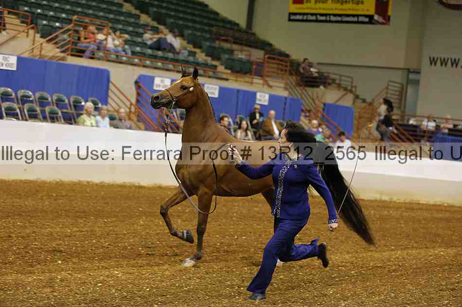 Proof 13r12_2565