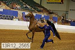 13r12_2565 proof