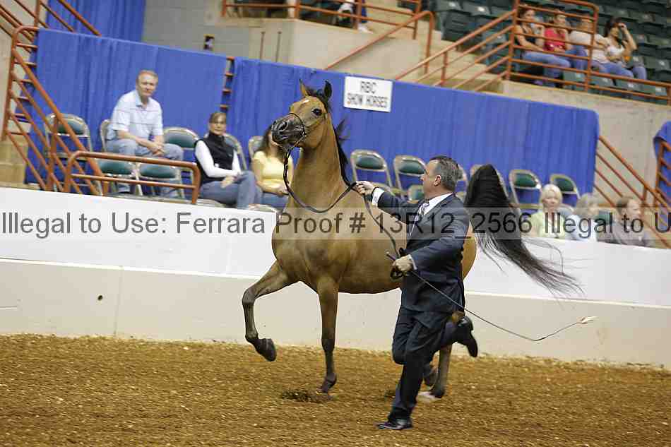 Proof 13r12_2566
