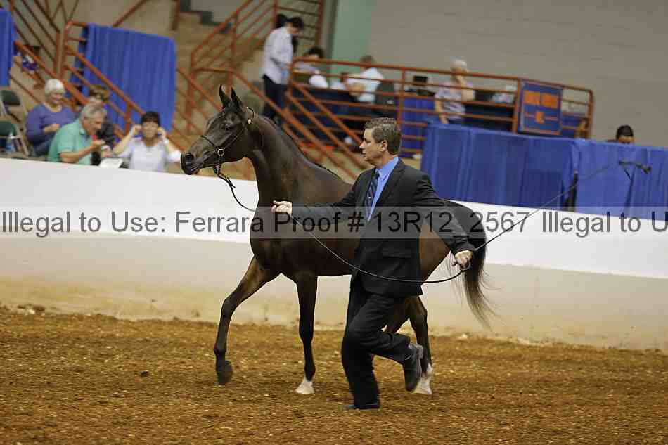 Proof 13r12_2567