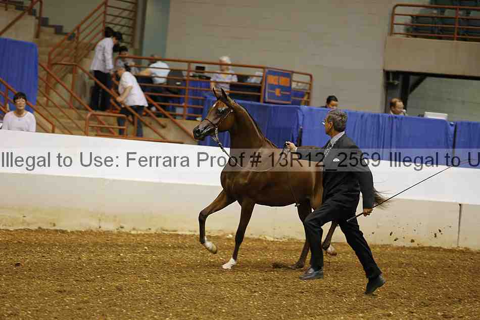 Proof 13r12_2569