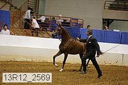 13r12_2569 proof