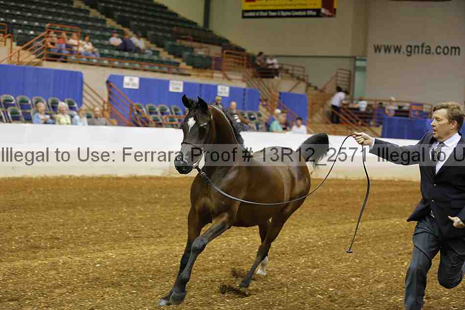 Proof 13r12_2571