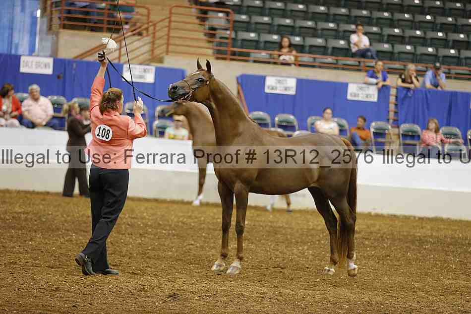 Proof 13r12_2576