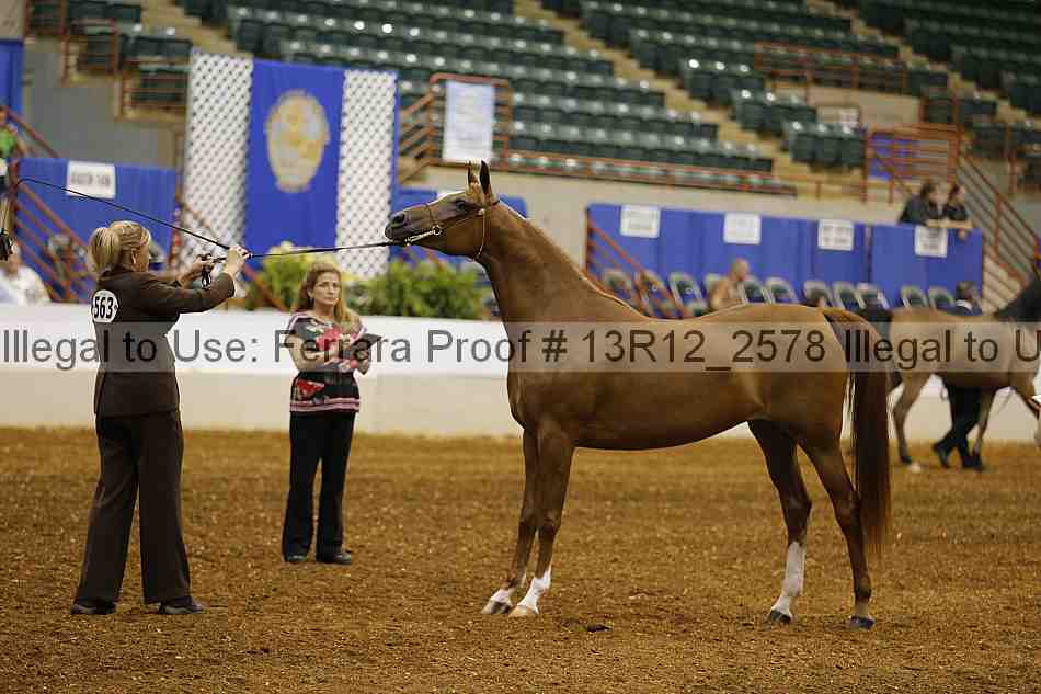 Proof 13r12_2578