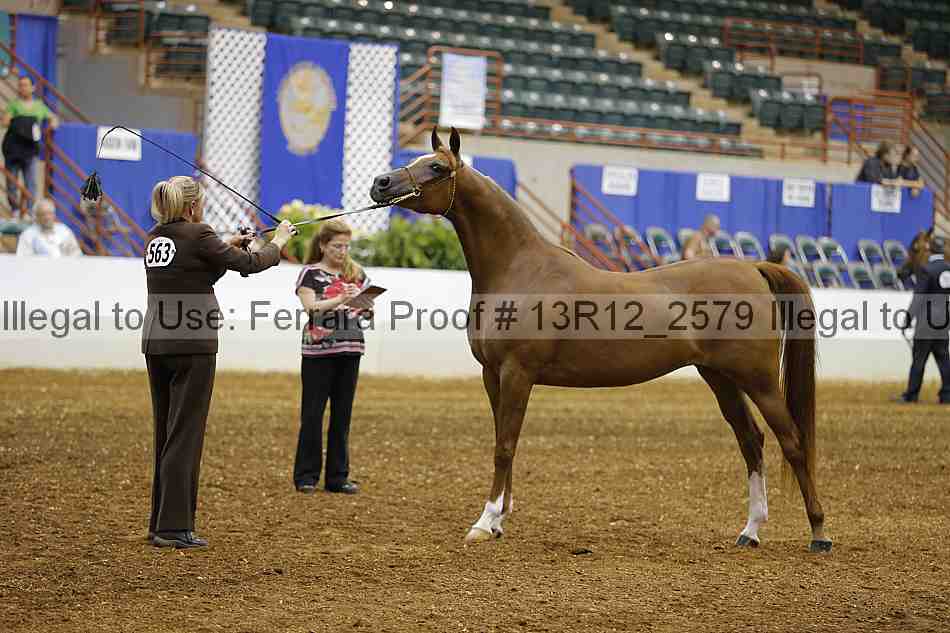 Proof 13r12_2579