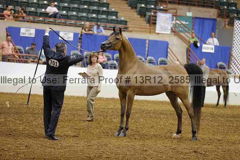 Proof 13r12_2585