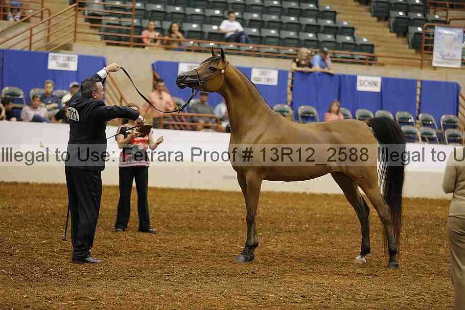 Proof 13r12_2588