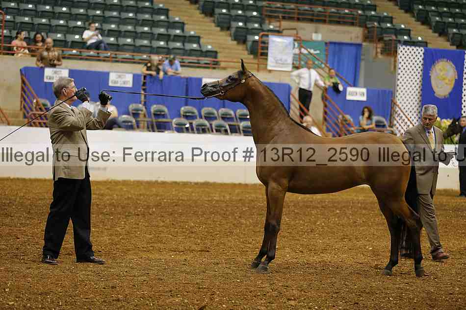 Proof 13r12_2590