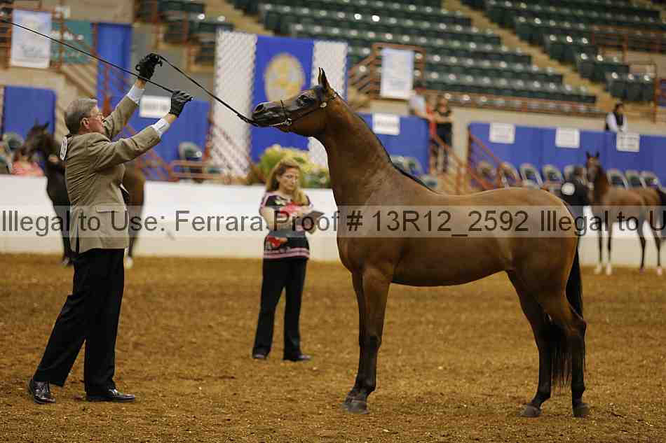 Proof 13r12_2592