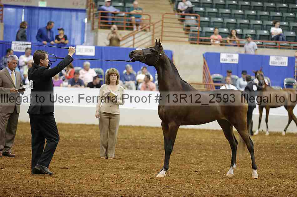 Proof 13r12_2593