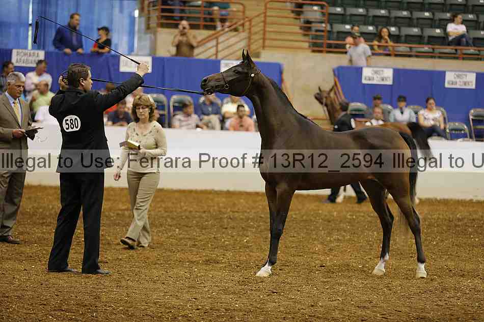 Proof 13r12_2594