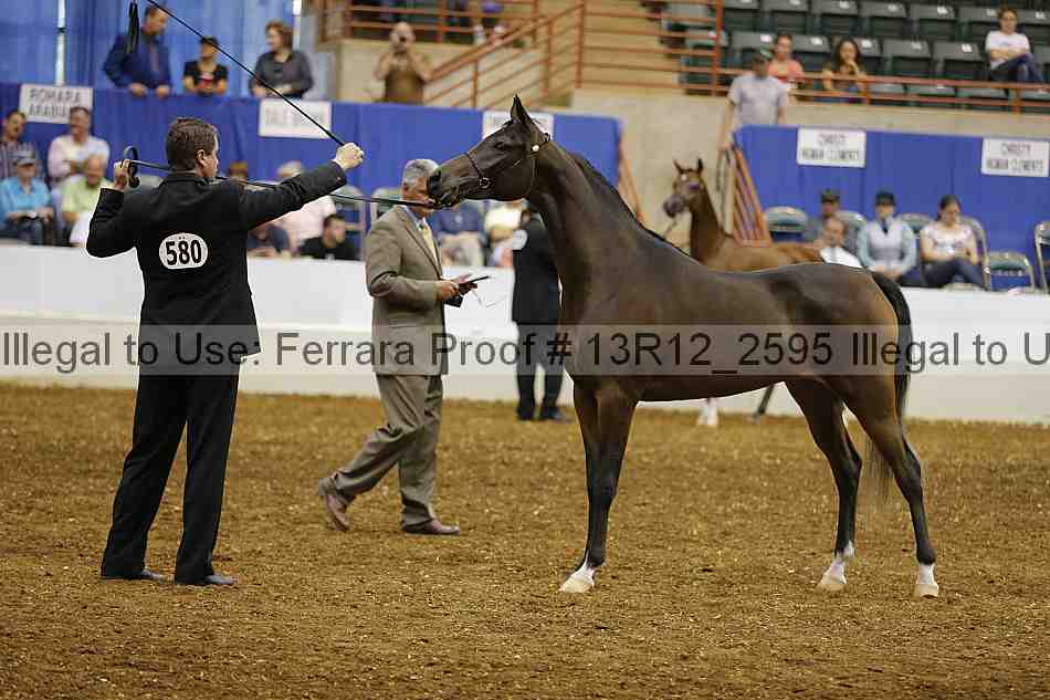 Proof 13r12_2595