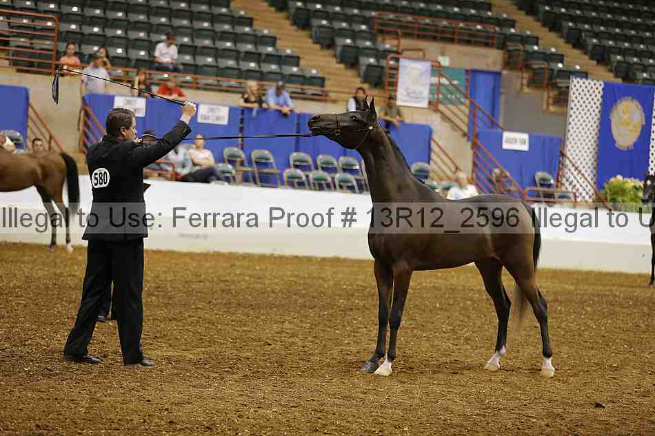 Proof 13r12_2596
