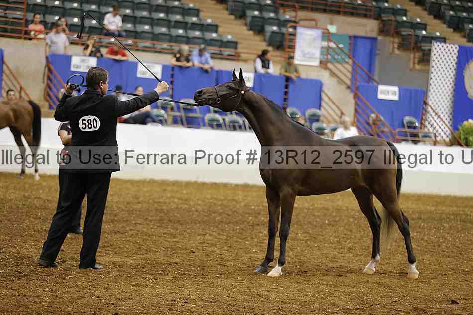 Proof 13r12_2597