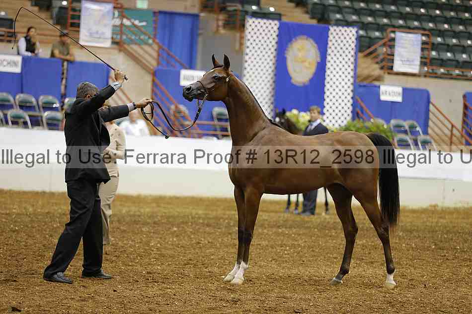 Proof 13r12_2598