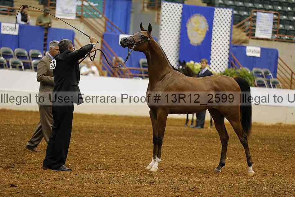 Proof 13r12_2599