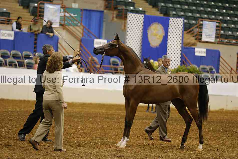 Proof 13r12_2600