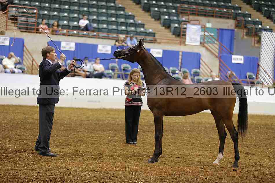Proof 13r12_2603