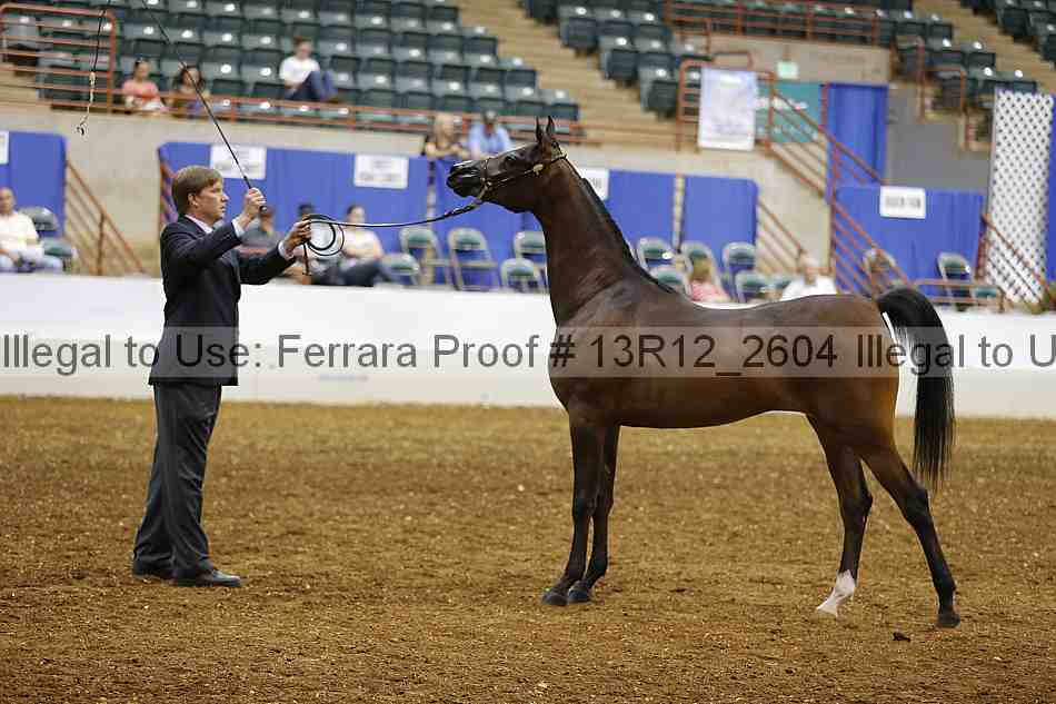 Proof 13r12_2604