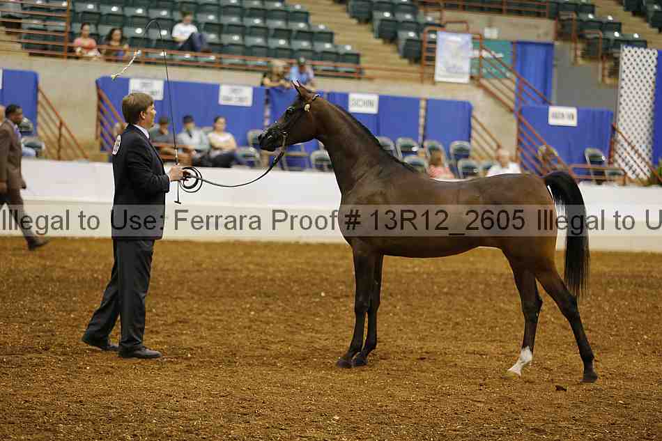 Proof 13r12_2605