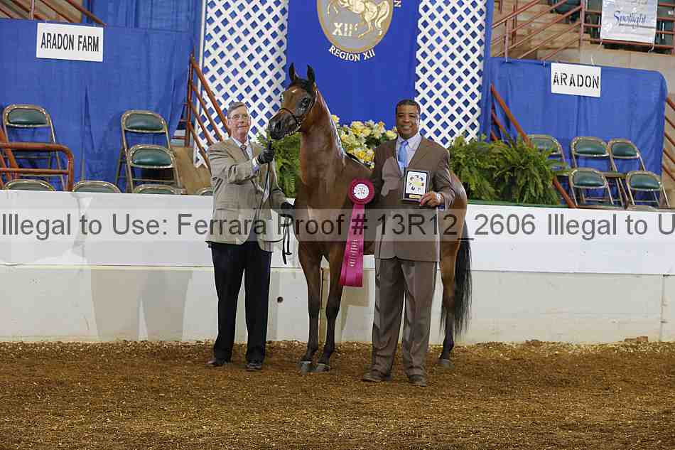 Proof 13r12_2606