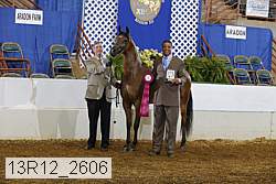 13r12_2606 proof