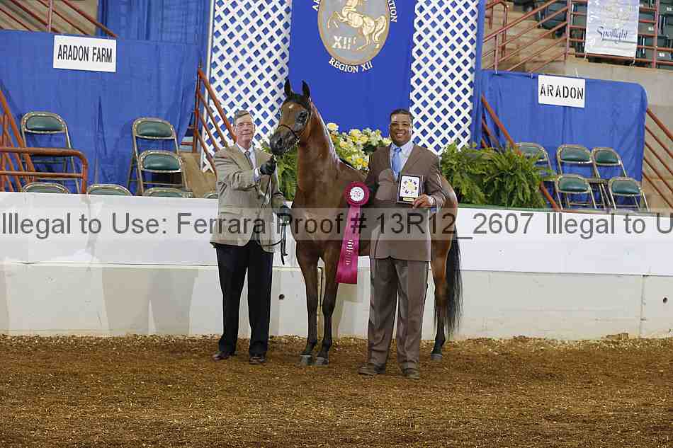 Proof 13r12_2607
