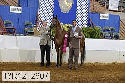 13r12_2607 proof