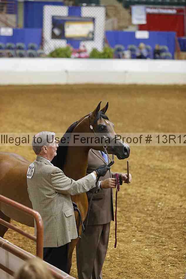 Proof 13r12_2608