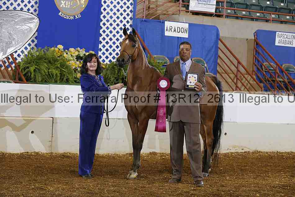 Proof 13r12_2613