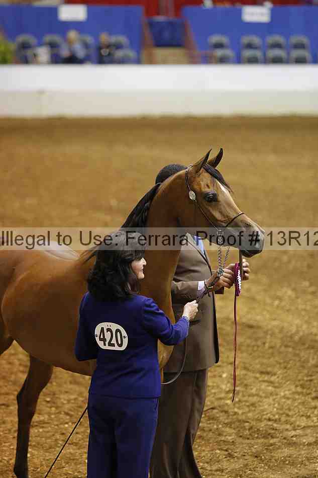 Proof 13r12_2616
