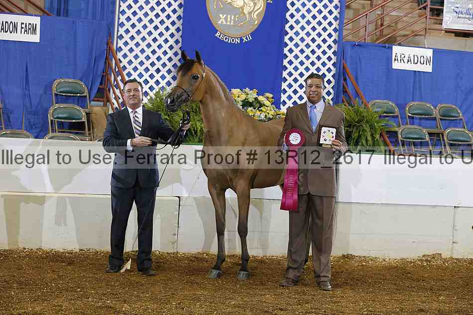Proof 13r12_2617