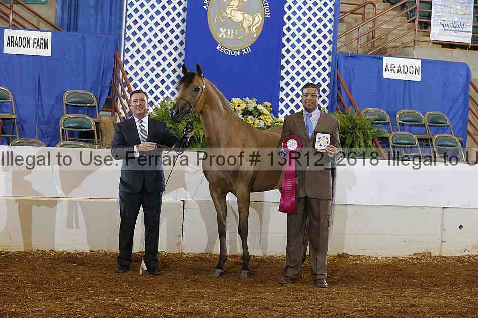 Proof 13r12_2618