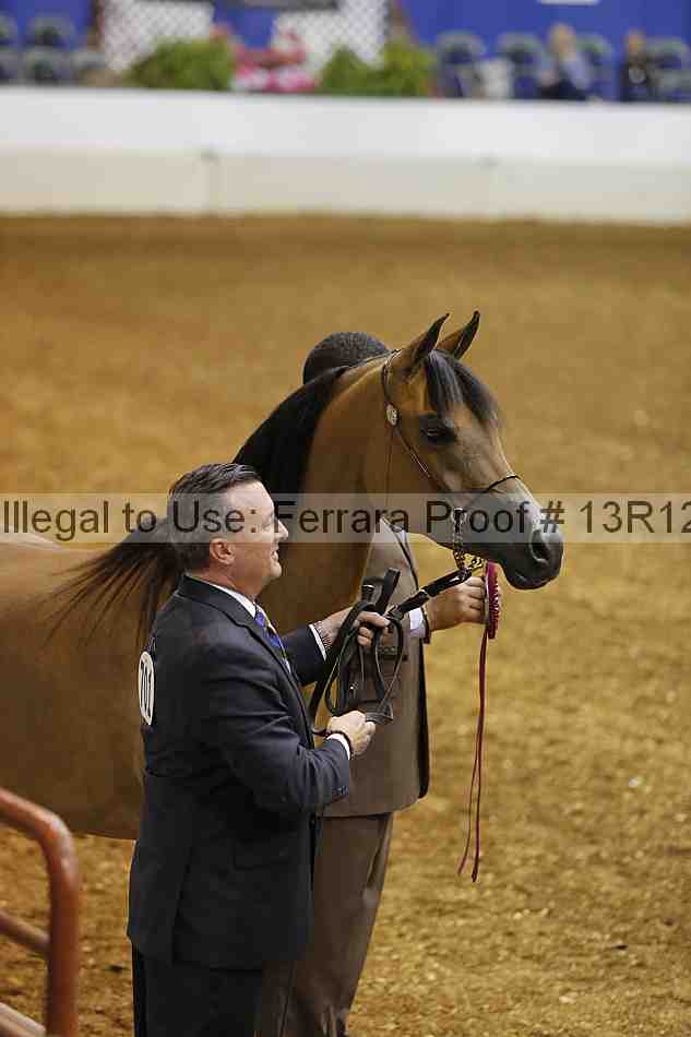 Proof 13r12_2619