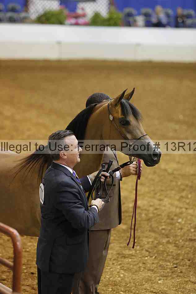 Proof 13r12_2620