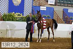 13r12_2624 proof