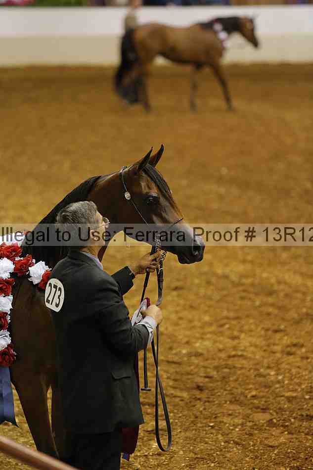 Proof 13r12_2625