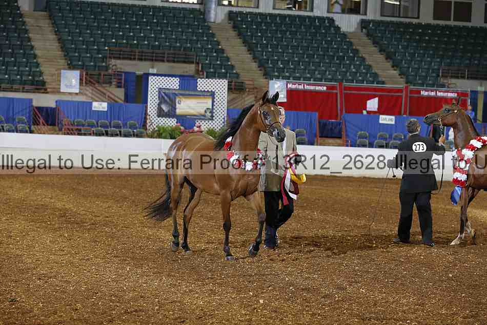 Proof 13r12_2628
