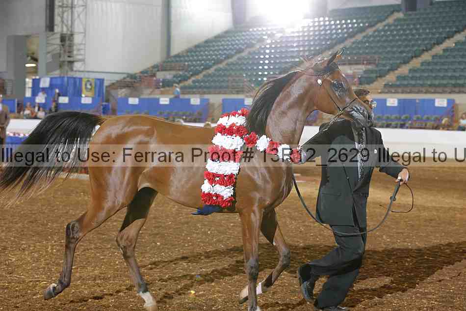 Proof 13r12_2629