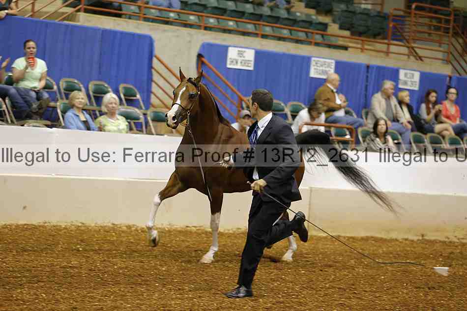 Proof 13r12_2631