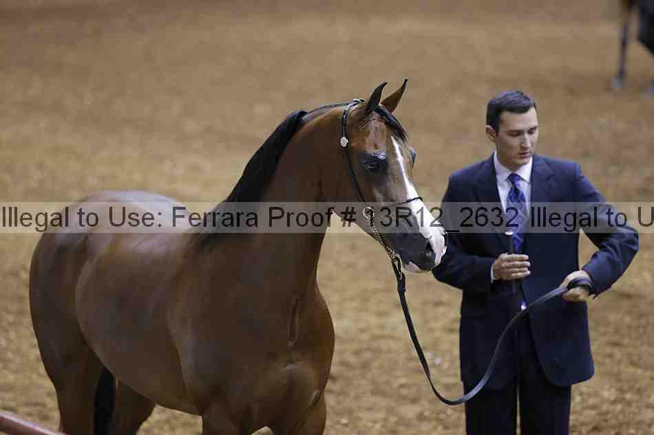 Proof 13r12_2632