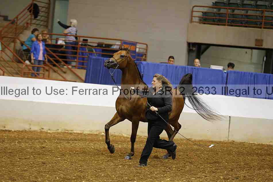 Proof 13r12_2633