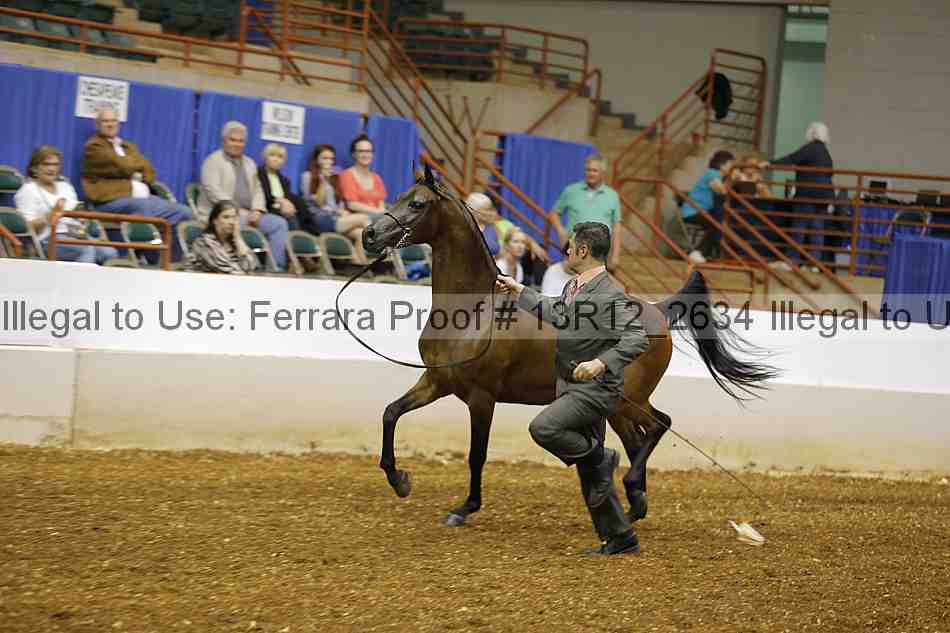 Proof 13r12_2634