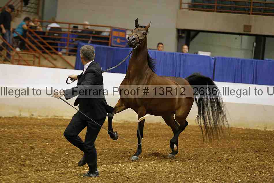 Proof 13r12_2636