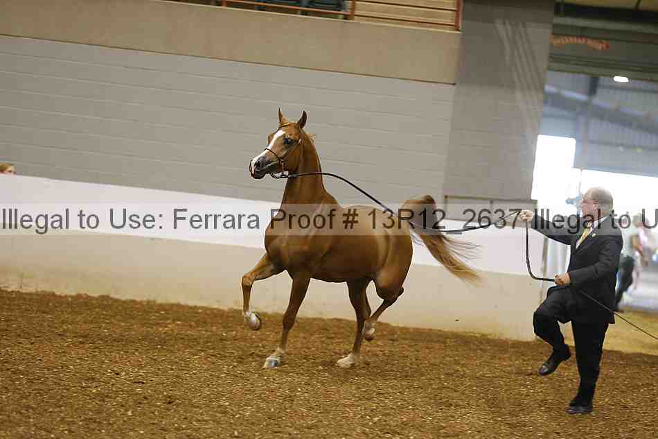 Proof 13r12_2637