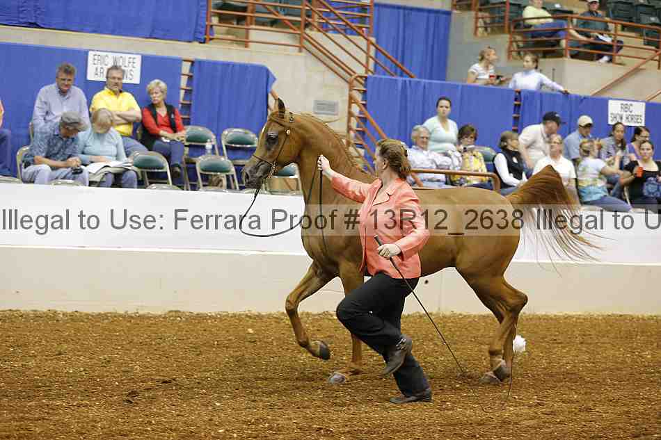 Proof 13r12_2638